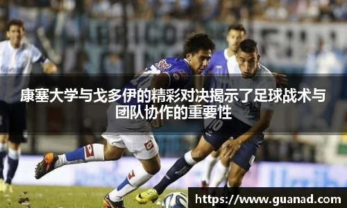 球王会体育
